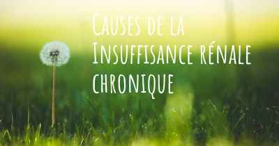 Causes de la Insuffisance rénale chronique