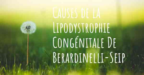 Causes de la Lipodystrophie Congénitale De Berardinelli-Seip