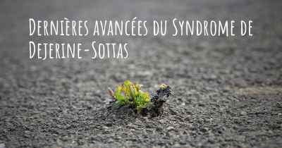 Dernières avancées du Syndrome de Dejerine-Sottas