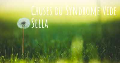 Causes du Syndrome Vide Sella