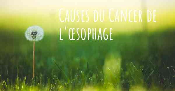 Causes du Cancer de l'œsophage