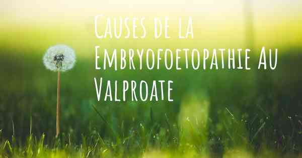 Causes de la Embryofoetopathie Au Valproate