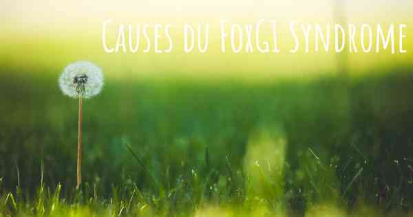 Causes du FoxG1 Syndrome