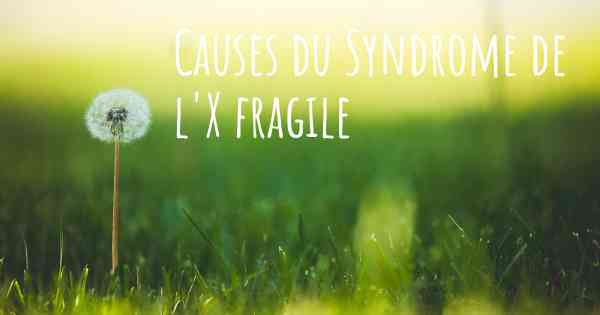 Causes du Syndrome de l'X fragile