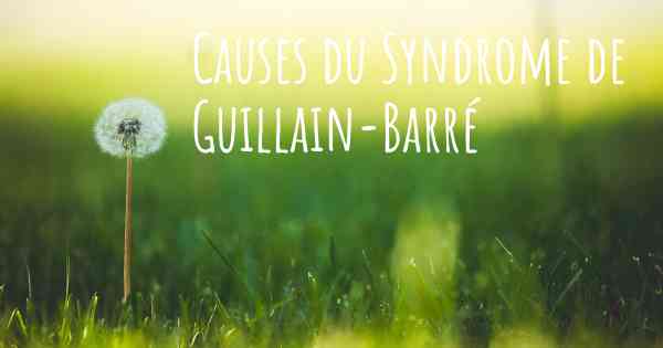 Causes du Syndrome de Guillain-Barré