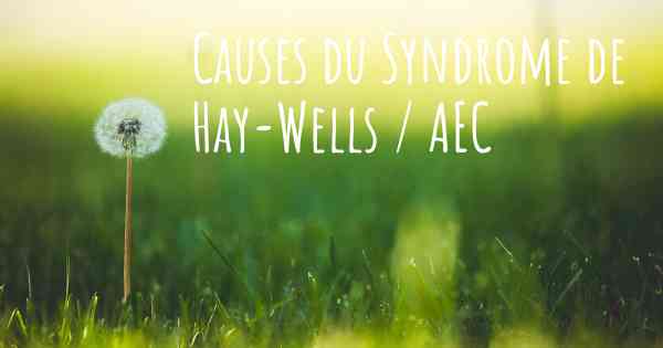 Causes du Syndrome de Hay-Wells / AEC