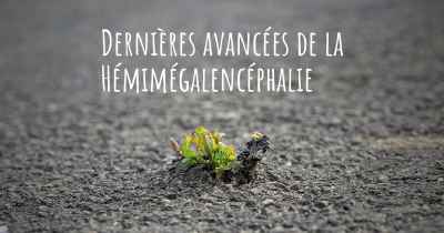 Dernières avancées de la Hémimégalencéphalie