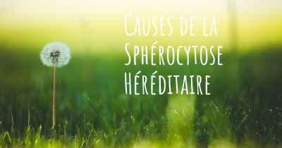 Causes de la Sphérocytose Héréditaire