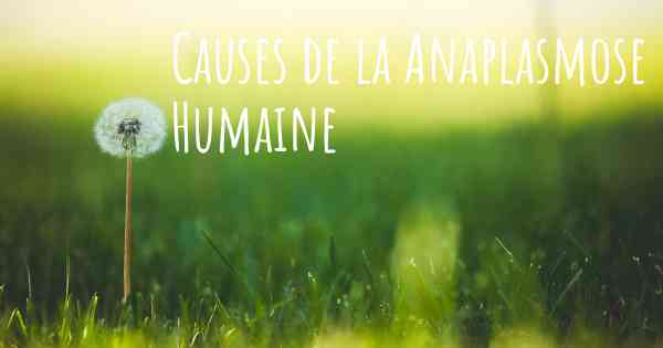 Causes de la Anaplasmose Humaine