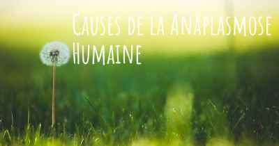 Causes de la Anaplasmose Humaine