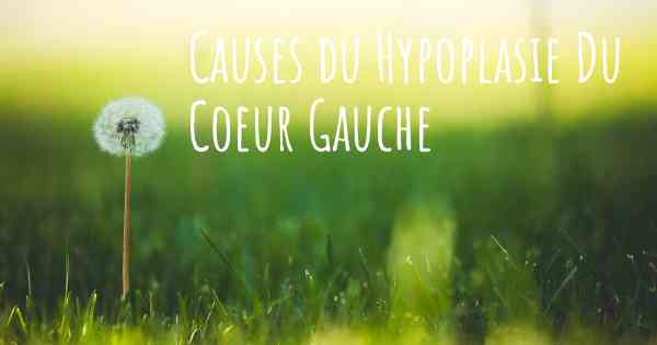 Causes du Hypoplasie Du Coeur Gauche