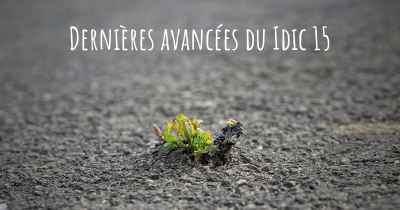 Dernières avancées du Idic 15