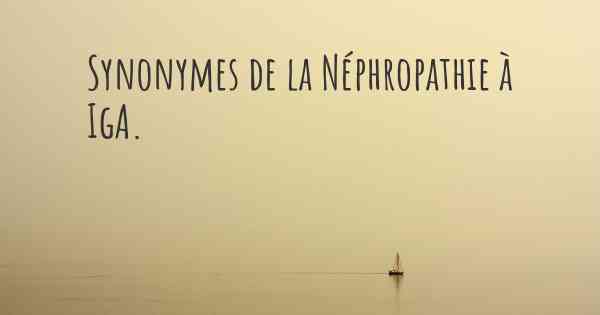 Synonymes de la Néphropathie à IgA. 