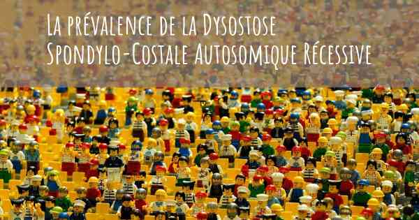 La prévalence de la Dysostose Spondylo-Costale Autosomique Récessive