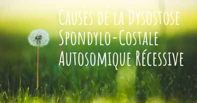 Causes de la Dysostose Spondylo-Costale Autosomique Récessive