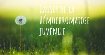 Causes de la Hémochromatose juvénile