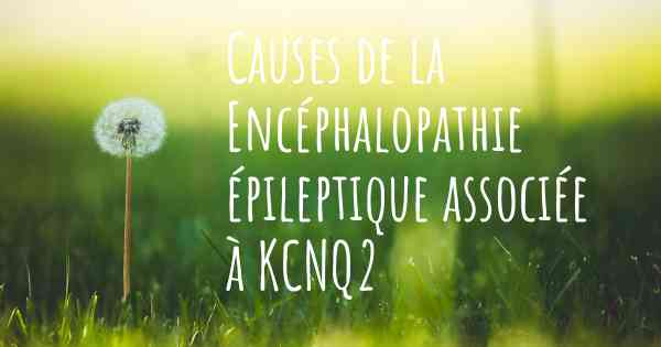 Causes de la Encéphalopathie épileptique associée à KCNQ2