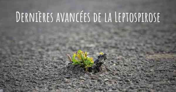 Dernières avancées de la Leptospirose