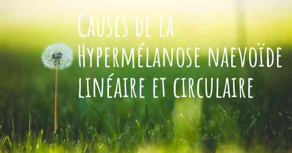 Causes de la Hypermélanose naevoïde linéaire et circulaire