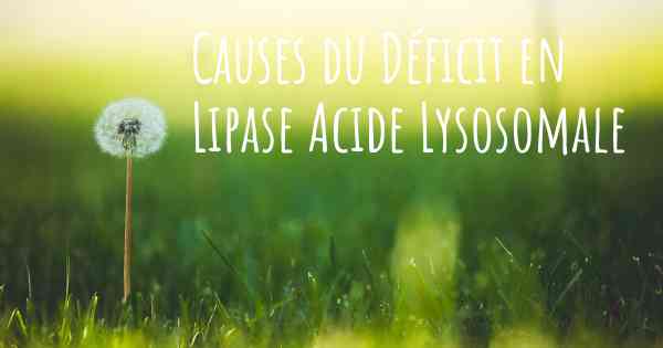 Causes du Déficit en Lipase Acide Lysosomale