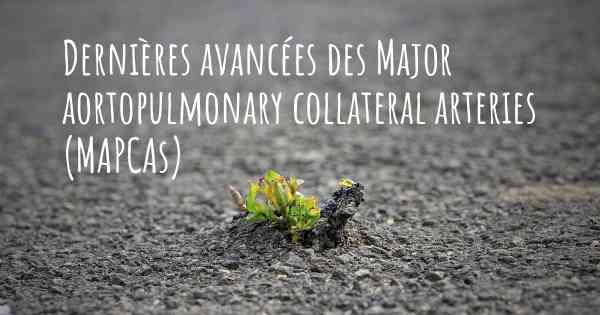 Dernières avancées des Major aortopulmonary collateral arteries (MAPCAs)
