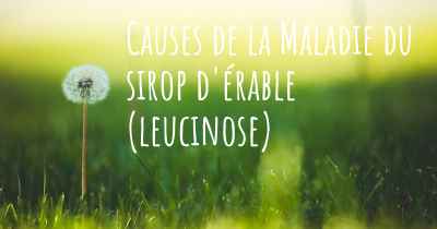 Causes de la Maladie du sirop d'érable (leucinose)