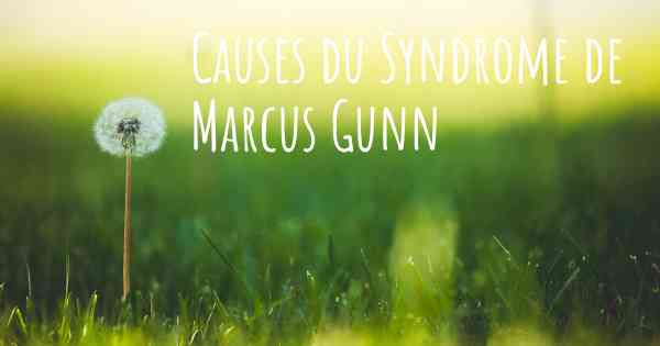Causes du Syndrome de Marcus Gunn
