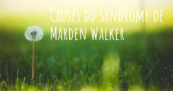 Causes du Syndrome de Marden Walker