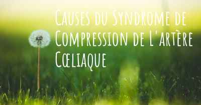 Causes du Syndrome de Compression de L'artère Cœliaque