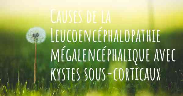 Causes de la Leucoencéphalopathie mégalencéphalique avec kystes sous-corticaux