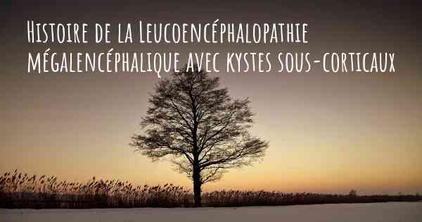 Histoire de la Leucoencéphalopathie mégalencéphalique avec kystes sous-corticaux