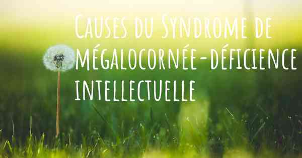 Causes du Syndrome de mégalocornée-déficience intellectuelle