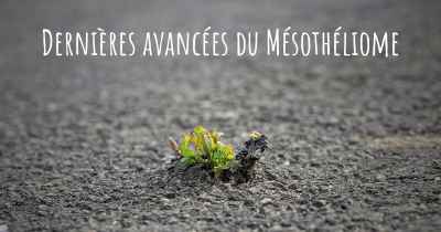 Dernières avancées du Mésothéliome