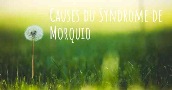 Causes du Syndrome de Morquio