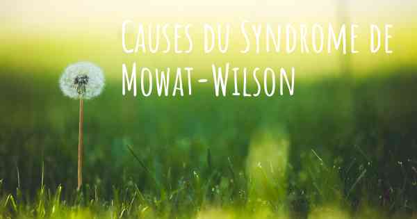Causes du Syndrome de Mowat-Wilson