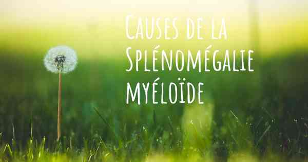 Causes de la Splénomégalie myéloïde