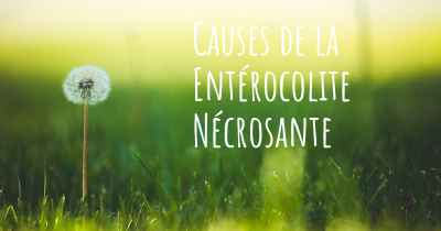 Causes de la Entérocolite Nécrosante