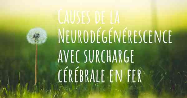 Causes de la Neurodégénérescence avec surcharge cérébrale en fer