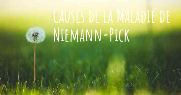 Causes de la Maladie de Niemann-Pick