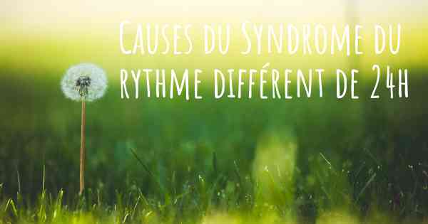 Causes du Syndrome du rythme différent de 24h