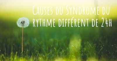 Causes du Syndrome du rythme différent de 24h