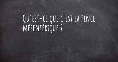 Qu'est-ce que c'est la Pince mésentérique ?