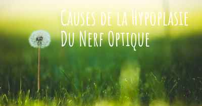 Causes de la Hypoplasie Du Nerf Optique
