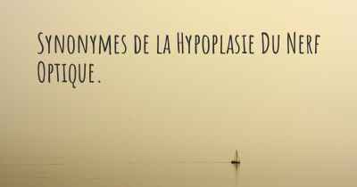 Synonymes de la Hypoplasie Du Nerf Optique. 