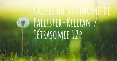 Causes du Syndrome de Pallister-Killian / Tétrasomie 12p