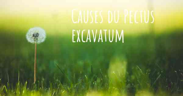 Causes du Pectus excavatum