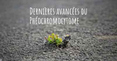 Dernières avancées du Phéochromocytome