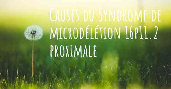 Causes du Syndrome de microdélétion 16p11.2 proximale