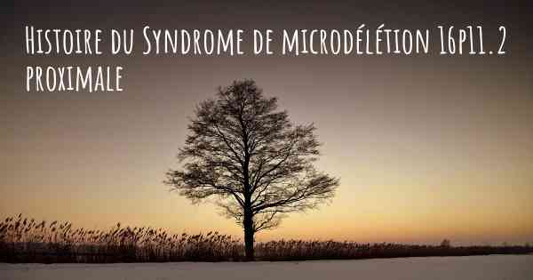 Histoire du Syndrome de microdélétion 16p11.2 proximale