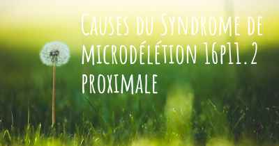 Causes du Syndrome de microdélétion 16p11.2 proximale